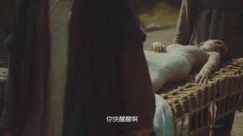 地窖人鱼在线观看,探寻神秘地窖中的惊悚人鱼传说  第3张